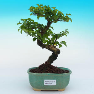Keramická bonsai miska T04137