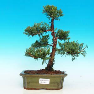 Keramická bonsai miska T05168