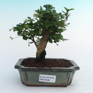Keramická bonsai miska T05185