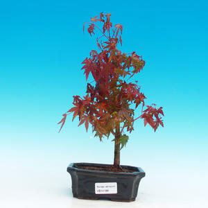 Keramická bonsai miska T05188