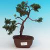 Keramická bonsai miska T30290