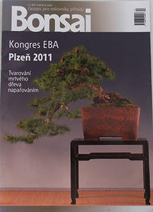 časopis bonsaj - ČBA 2011-4