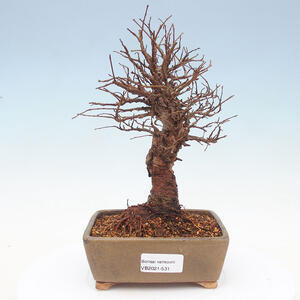 Keramická bonsai miska T0531
