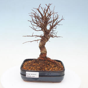 Keramická bonsai miska T0534