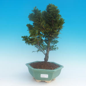 Keramická bonsai miska