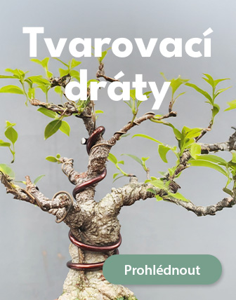 E-bonsai - Nejvt a nejlevnj e-shop v Evrop