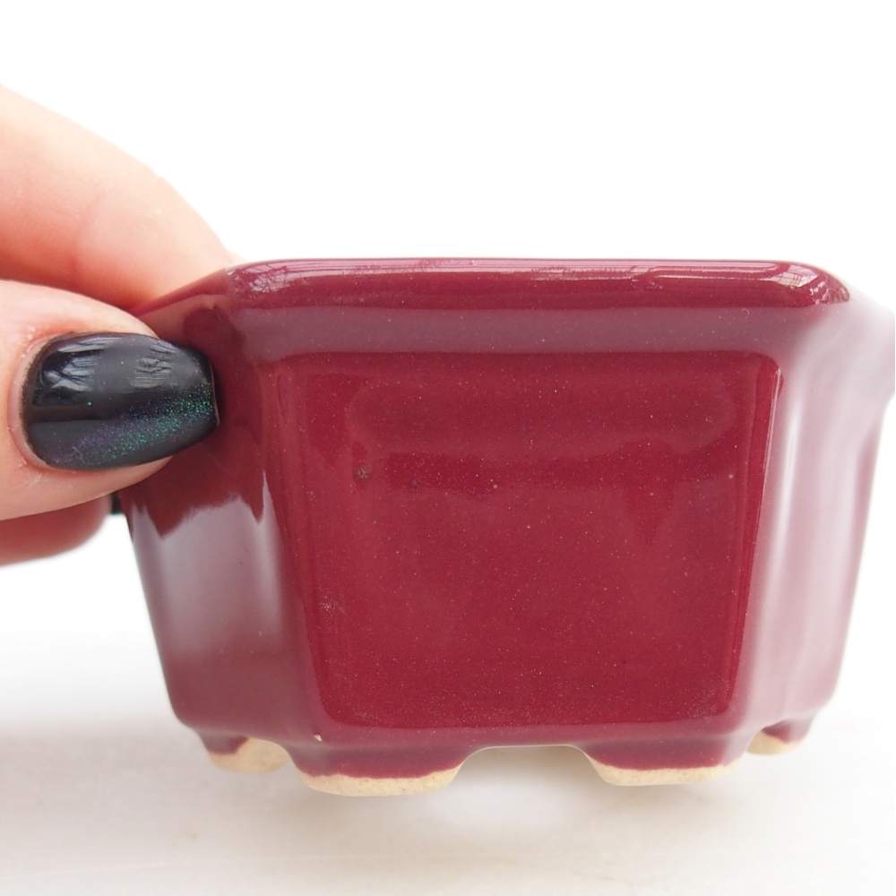 Mini bonsai miska 8 x 7 x 4 cm, barva vínová