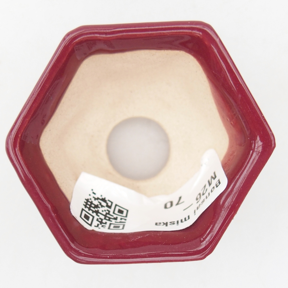 Mini bonsai miska 5 x 4,5 x 3 cm, barva vínová