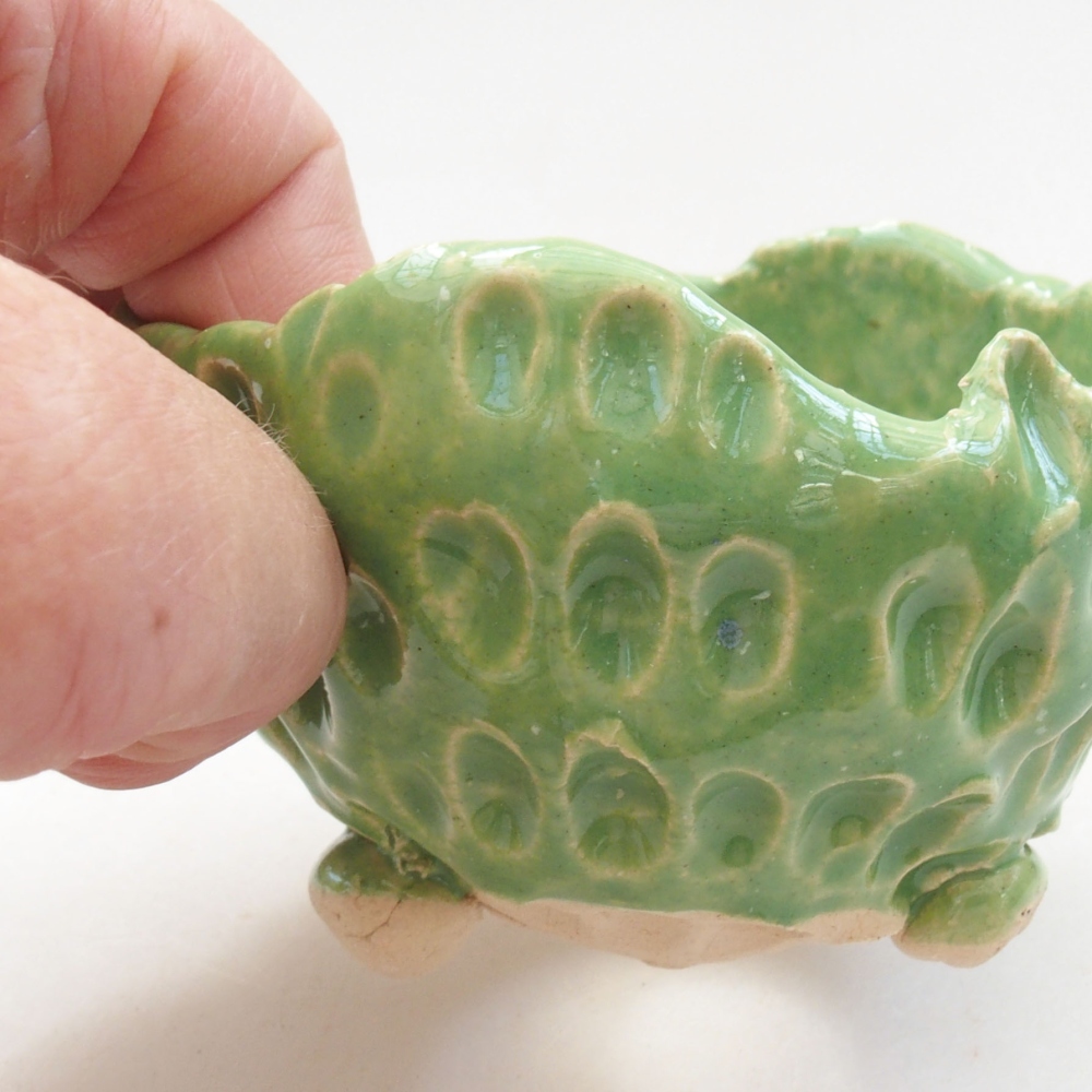 Keramická Skořápka  7 x 7 x 5 cm , barva zelená