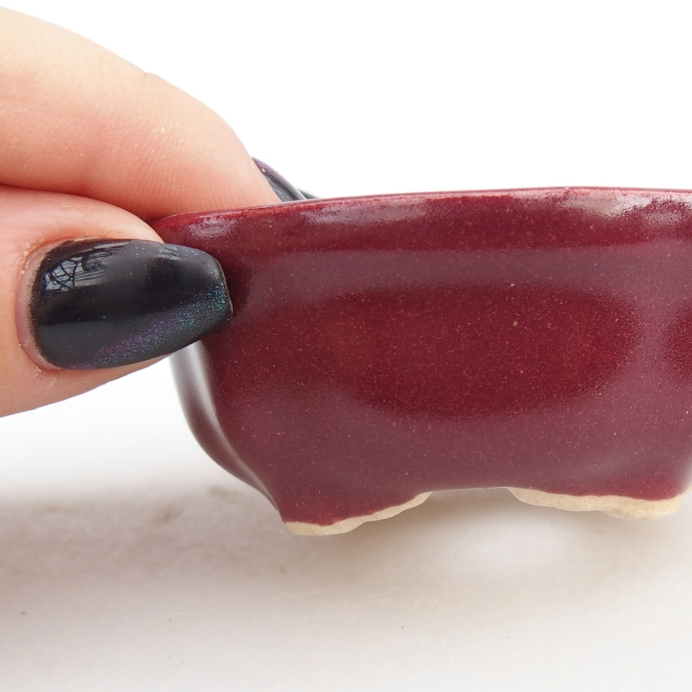 Mini bonsai miska 6,5 x 6,5 x 3 cm, barva vínová