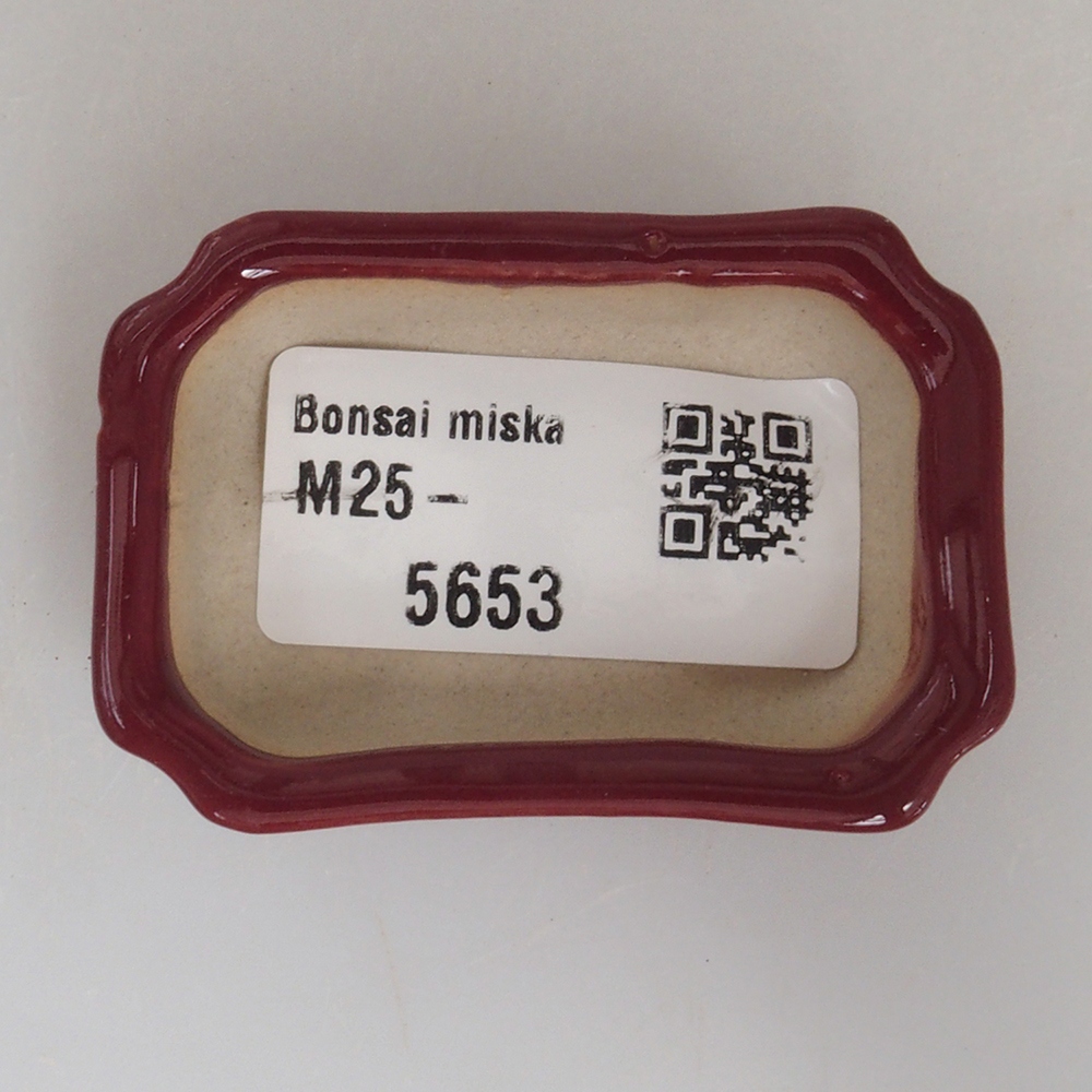 Mini bonsai miska 5,5 x 3,5 x 1,5 cm, barva vínová