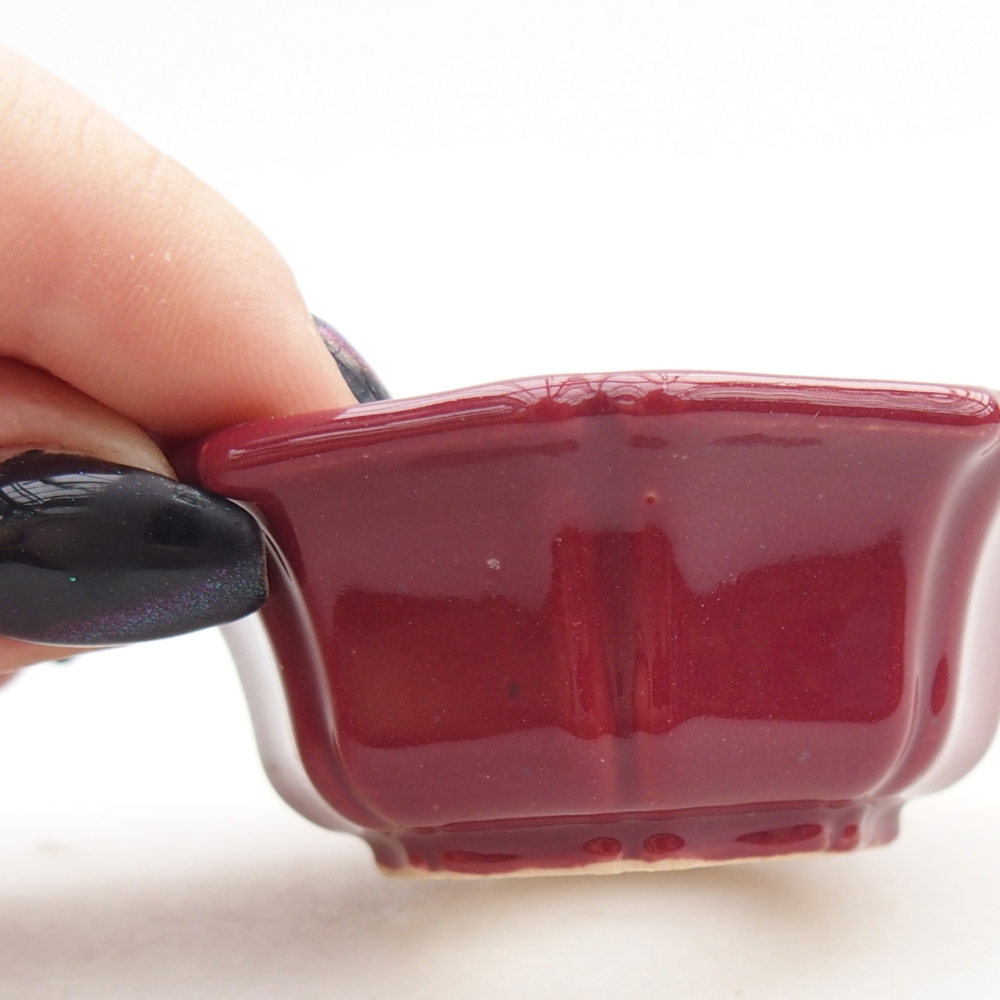 Mini bonsai miska 6 x 6 x 2,5 cm, barva vínová