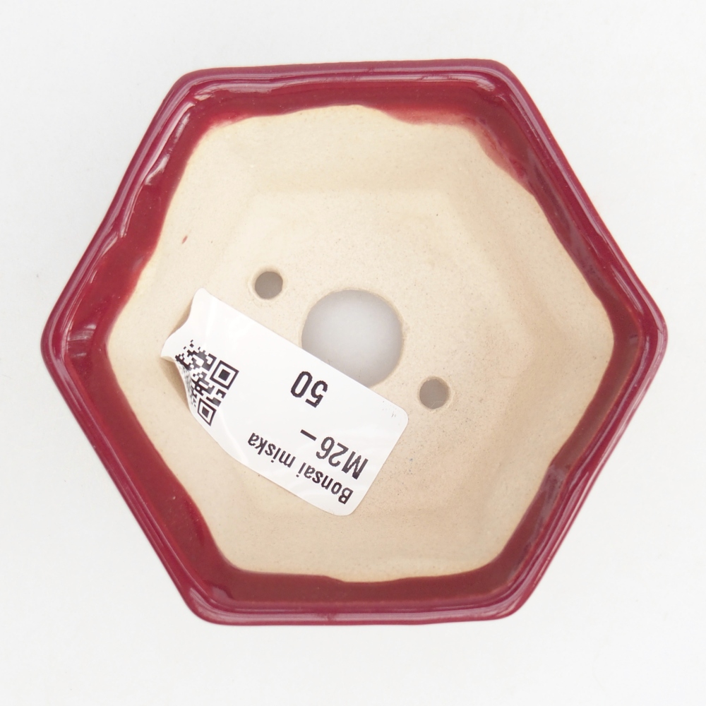 Mini bonsai miska 8 x 7 x 4 cm, barva vínová