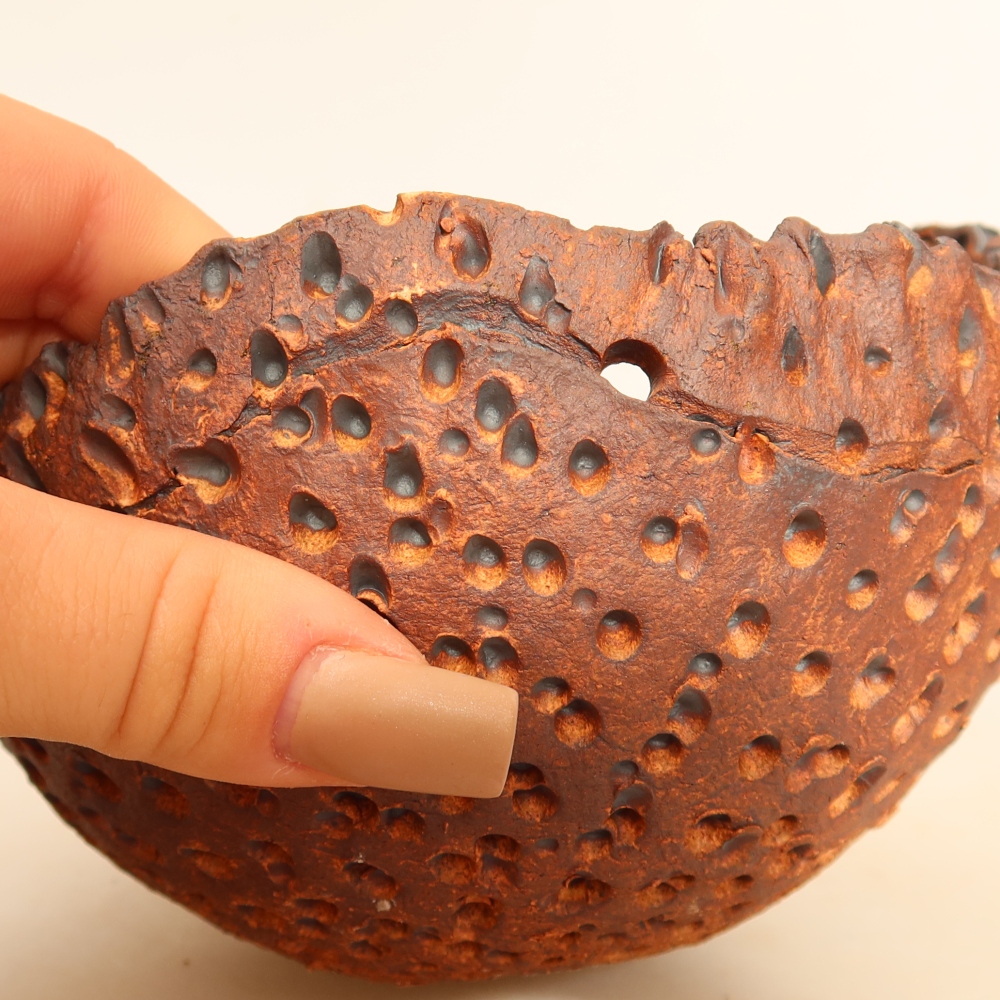Keramická Skořápka na Kokedamu 14 x 13 x 9 cm , barva hnědá