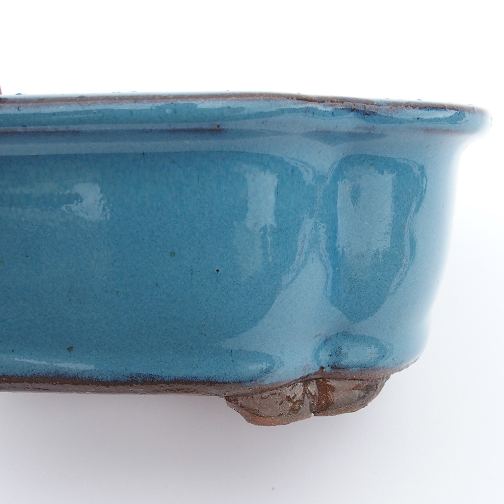 Miska 20 x 16 x 6,5  cm barva modrá