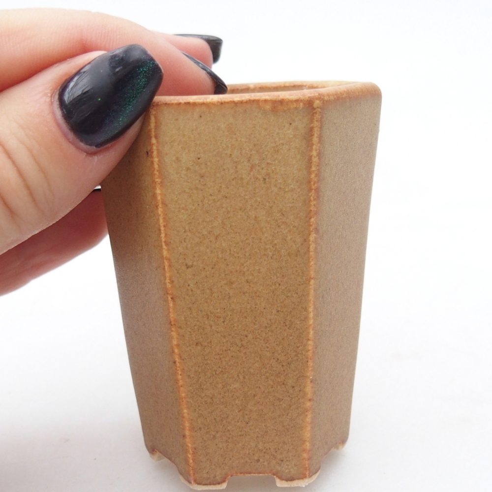 Mini bonsai miska 5 x 4,5 x 6,5 cm, barva hnědá