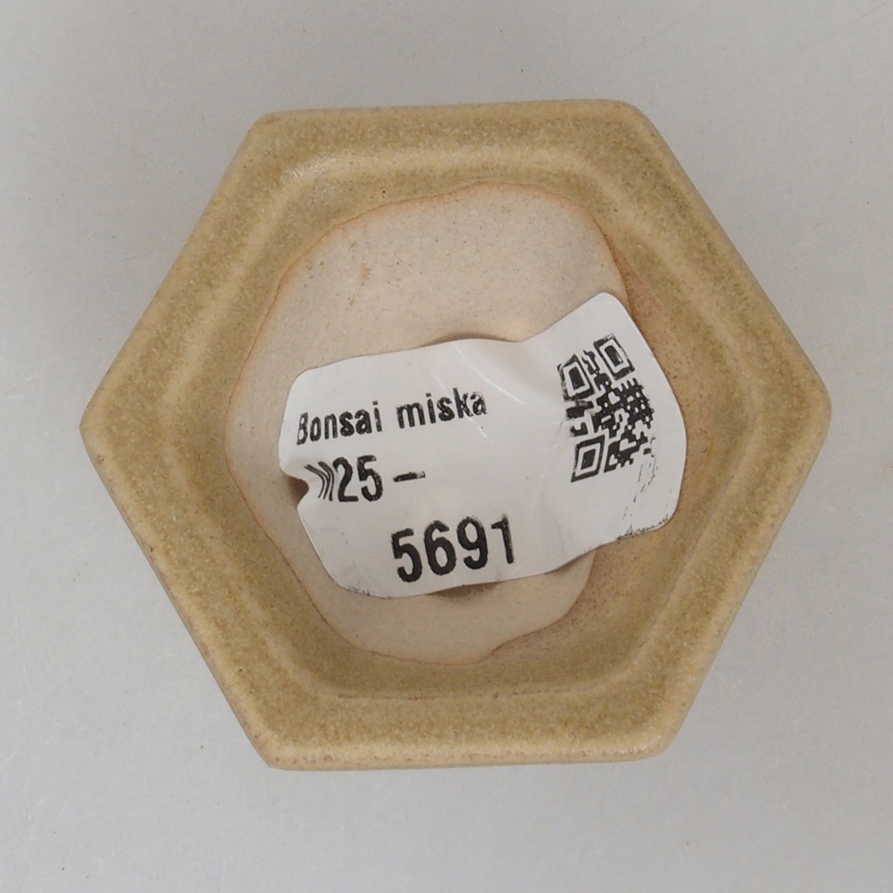 Mini bonsai miska 4,5 x 4,5 x 2,5 cm, barva hnědá