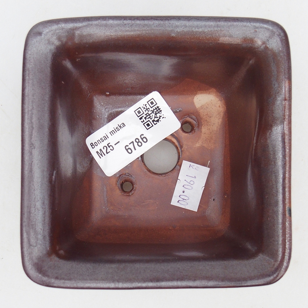 Keramická bonsai miska 10 x 10  x 6 cm, barva vínová