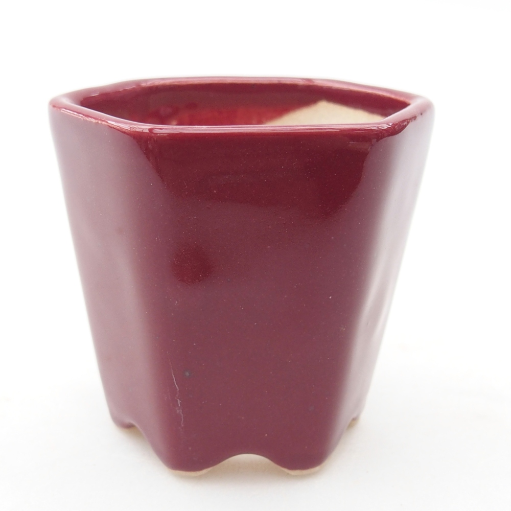 Mini bonsai miska 5,5 x 5 x 5 cm, barva vínová