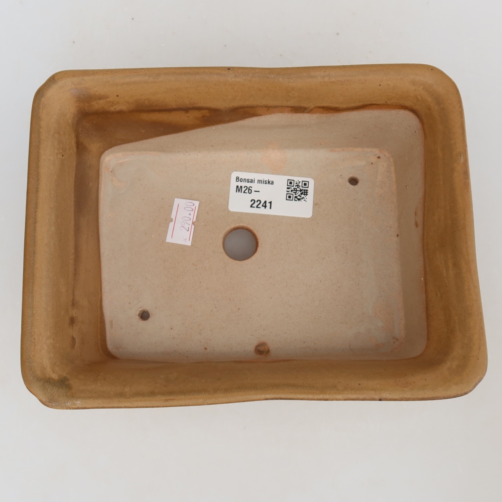 Keramická bonsai miska 18 x 14 x 7 cm, barva béžová