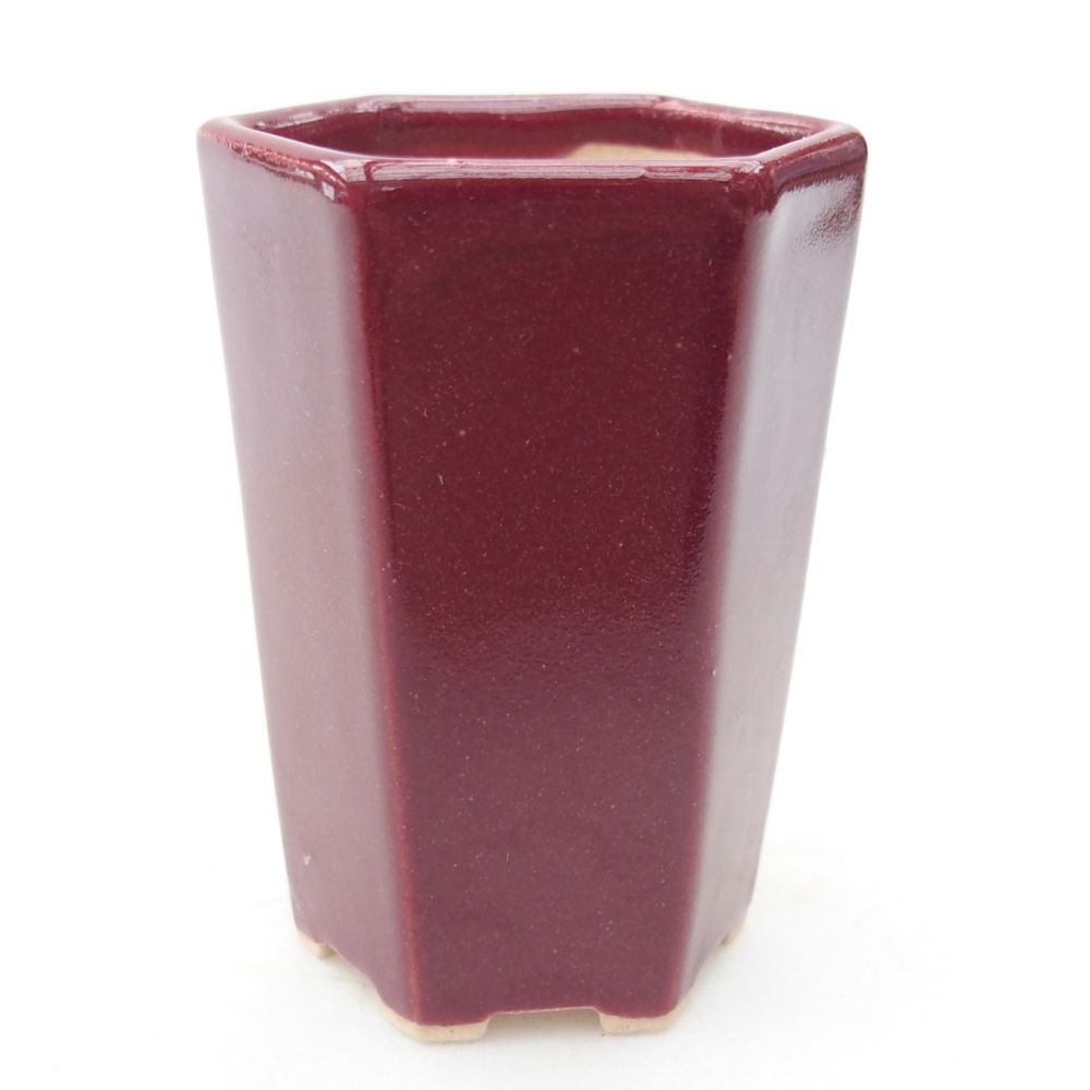 Mini bonsai miska 5 x 4,5 x 6,5 cm, barva vínová