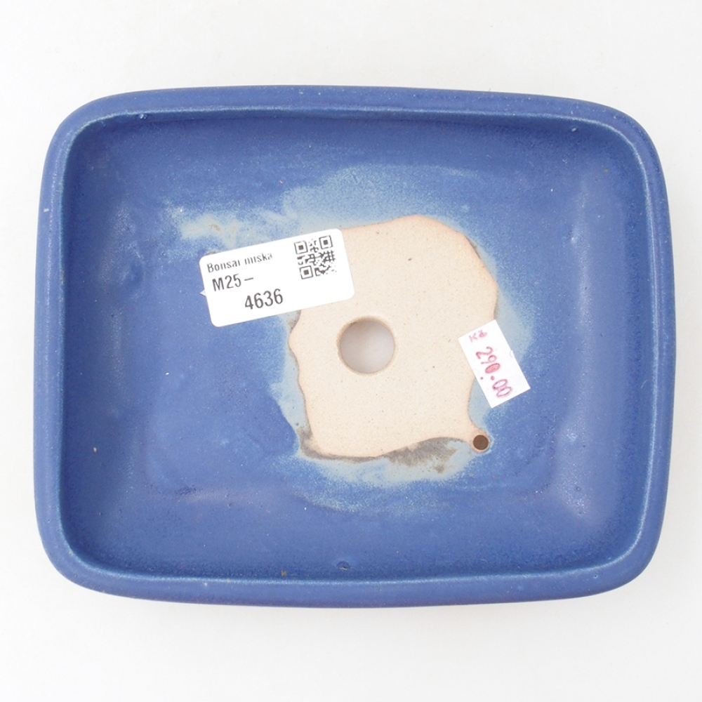Keramická bonsai miska 17 x 13,5 x 3,5 cm, barva modrá