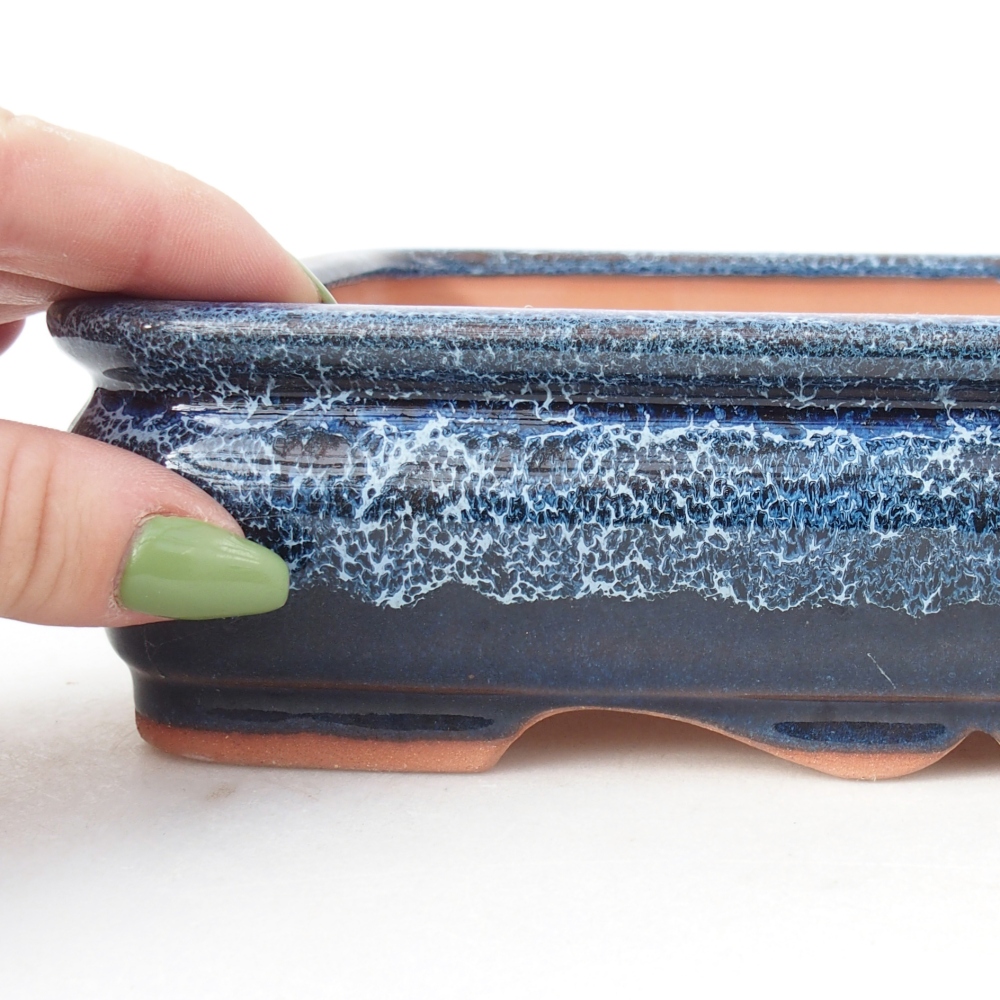 Miska 22 x 26,5 x 4 cm barva modrá