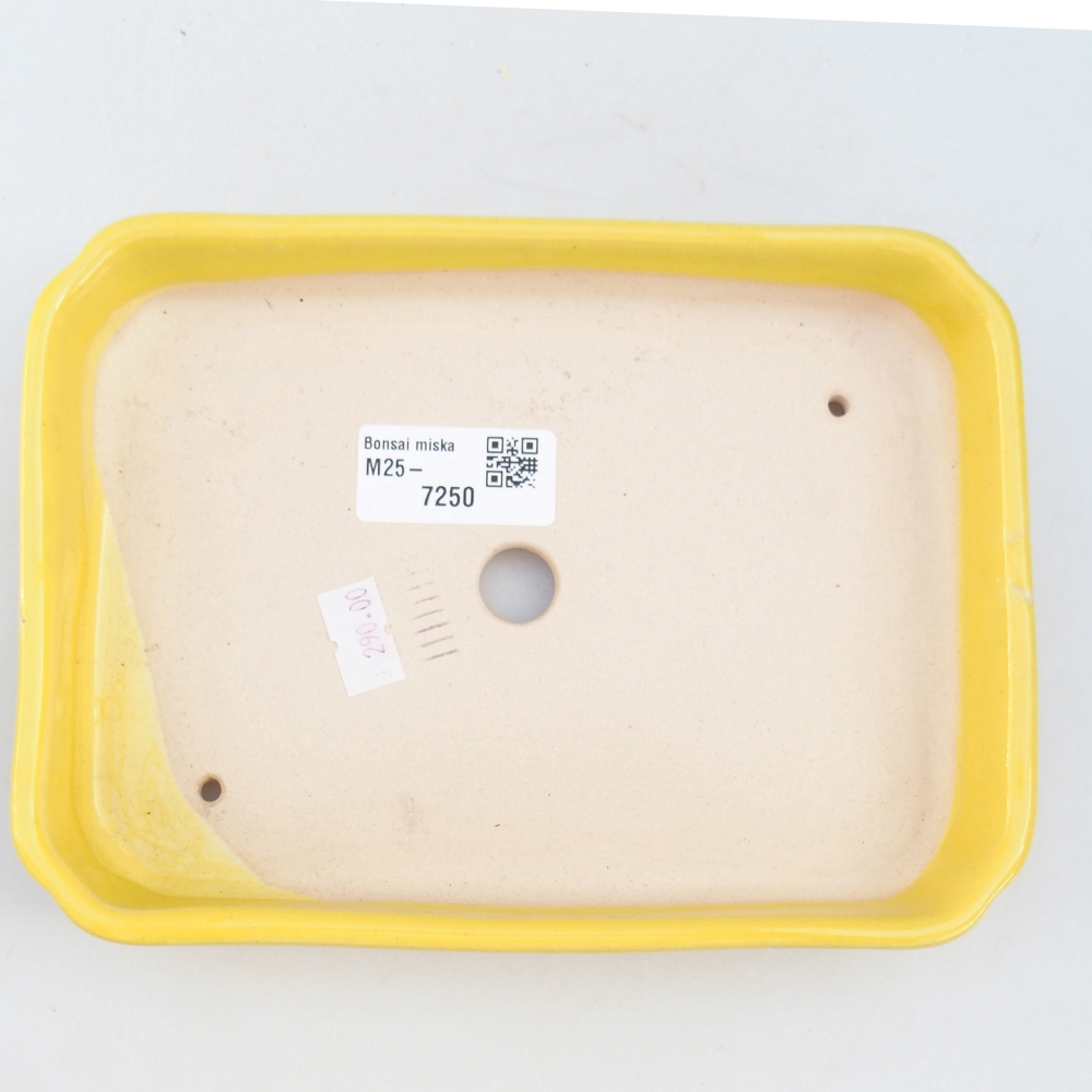 Keramická bonsai miska 18,5 x 13,5 x 3,5 cm, barva žlutá