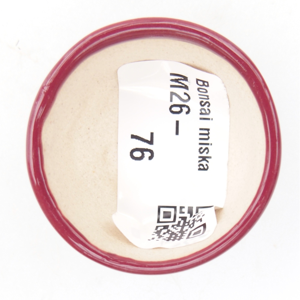 Mini bonsai miska 4 x 4 x 2 cm, barva vínová