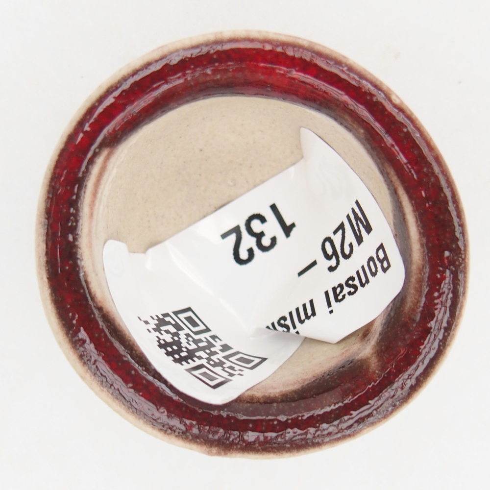 Mini bonsai miska 3,5 x 3,5 x 2,5 cm, barva červená