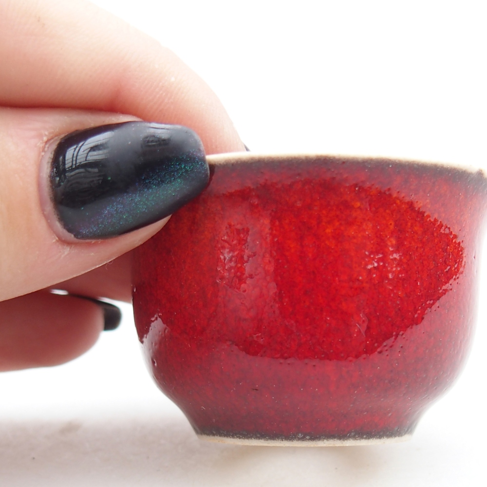 Mini bonsai miska 5 x 5 x 3 cm, barva červená