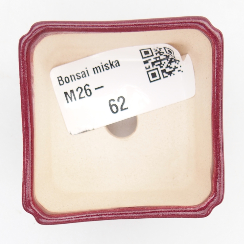 Mini bonsai miska 5 x 5 x 3 cm, barva vínová