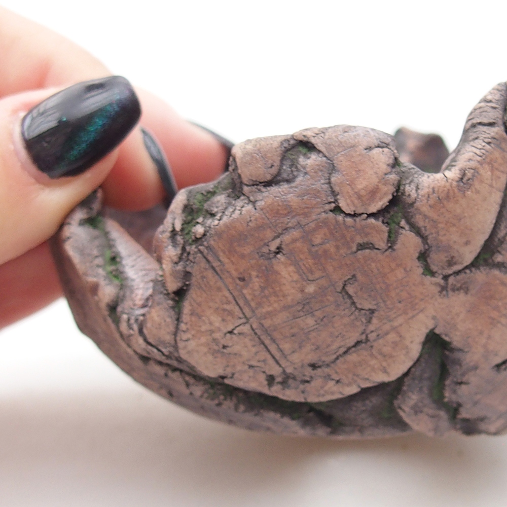 Keramická Skořápka 8,5 x 6 x 6,5 cm , barva zelená