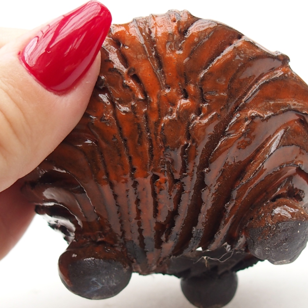 Keramická Skořápka  8,5 x 8,5 x 5 cm , barva oranžová