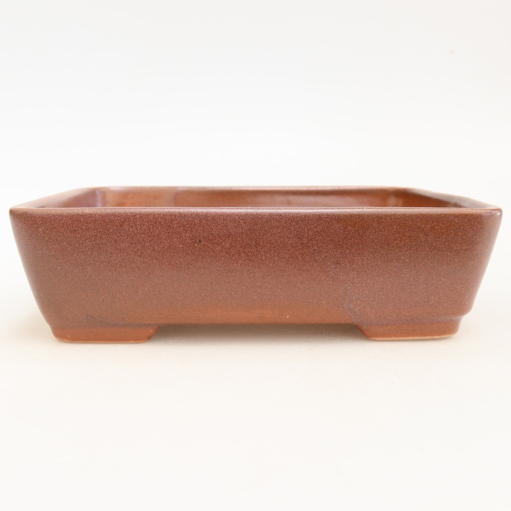Keramická bonsai miska 18 x 13 x 5 cm, barva vínová