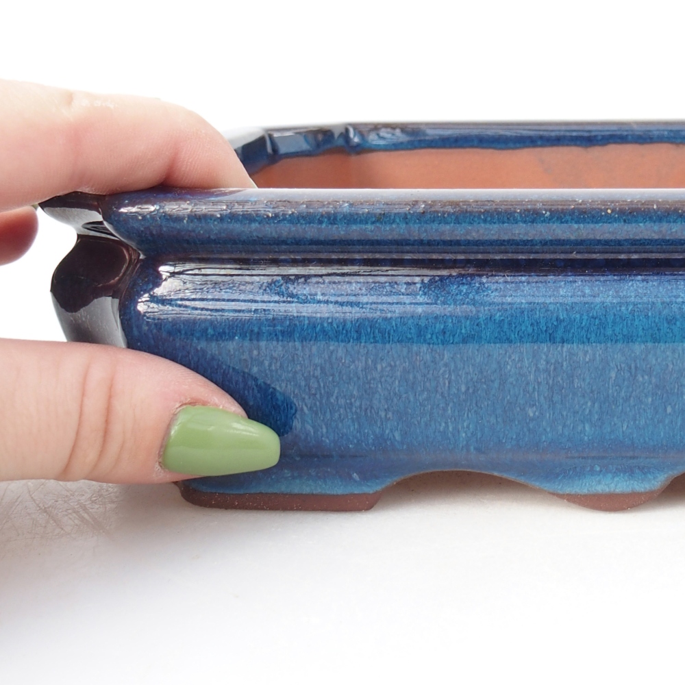 Miska 21,5 x 26,5 x 4 cm barva modrá