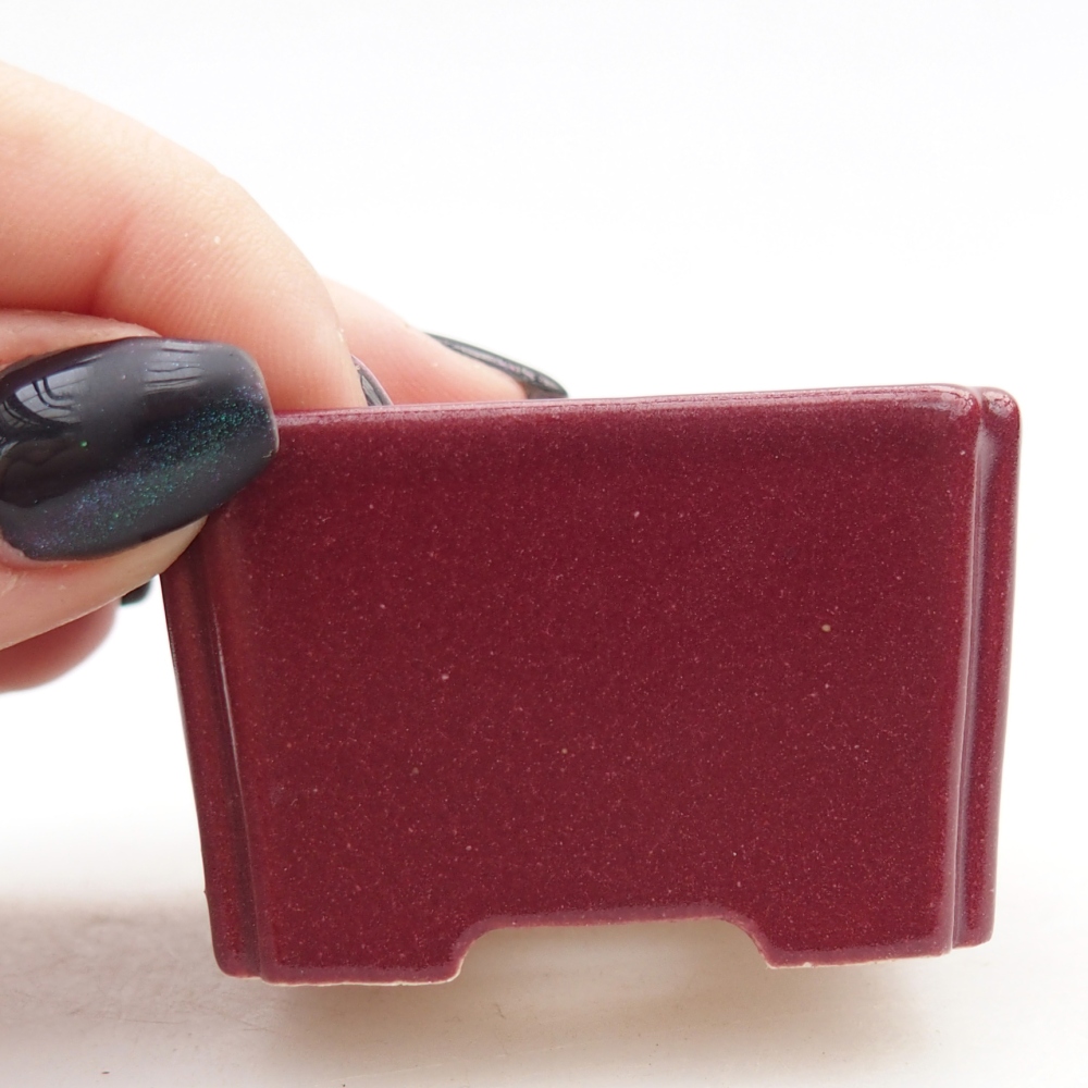 Mini bonsai miska 5 x 5 x 3 cm, barva vínová