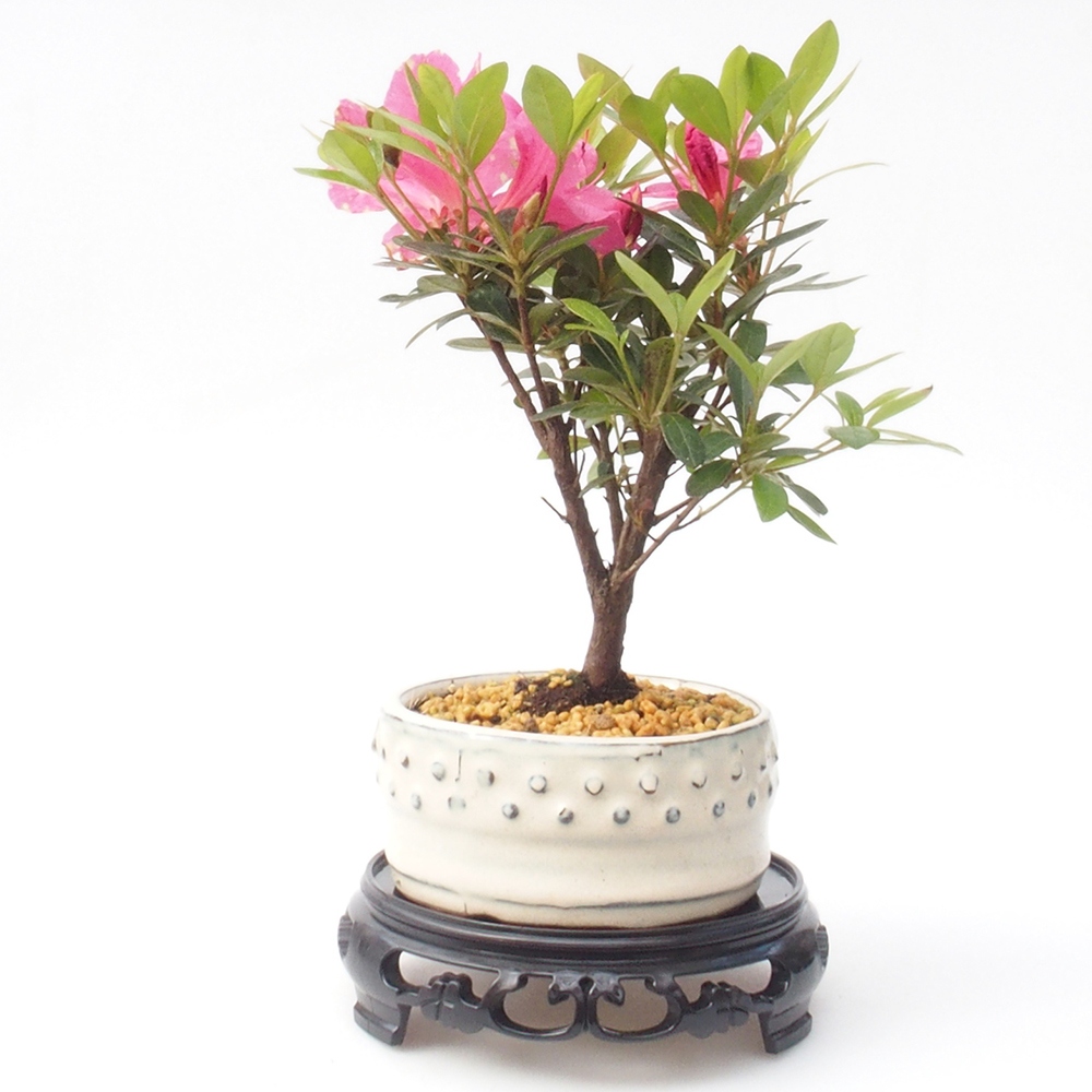 Bonsai stolek plastový kulatý 14,5 x 14,5 x 4 cm, barva černá