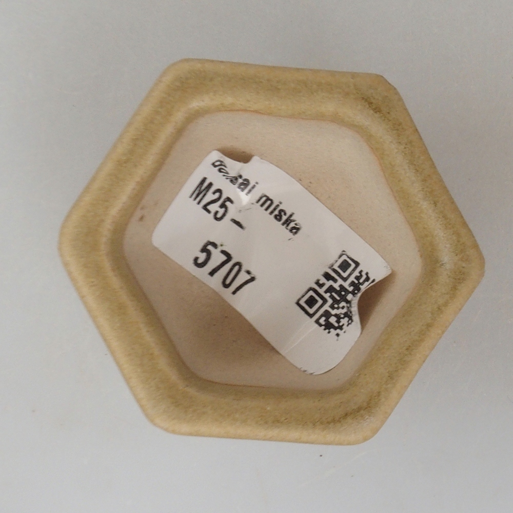Mini bonsai miska 5 x 4,5 x 3 cm, barva hnědá