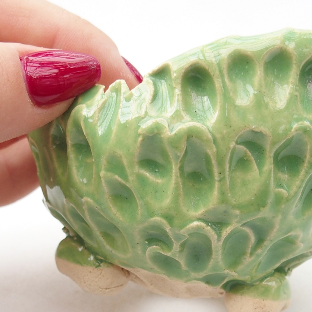 Keramická Skořápka  7,5 x 7 x 6 cm , barva zelená