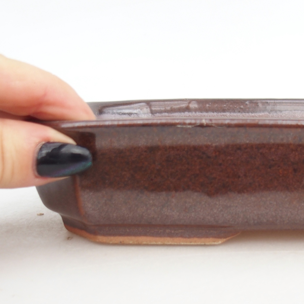 Keramická bonsai miska 18,5 x 13,5 x 4,5 cm, barva hnědá