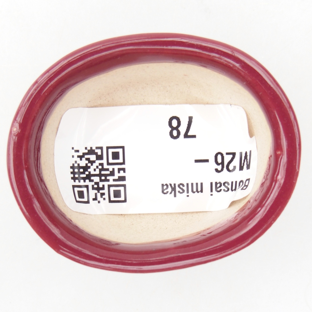 Mini bonsai miska 4,5 x 4 x 2 cm, barva vínová