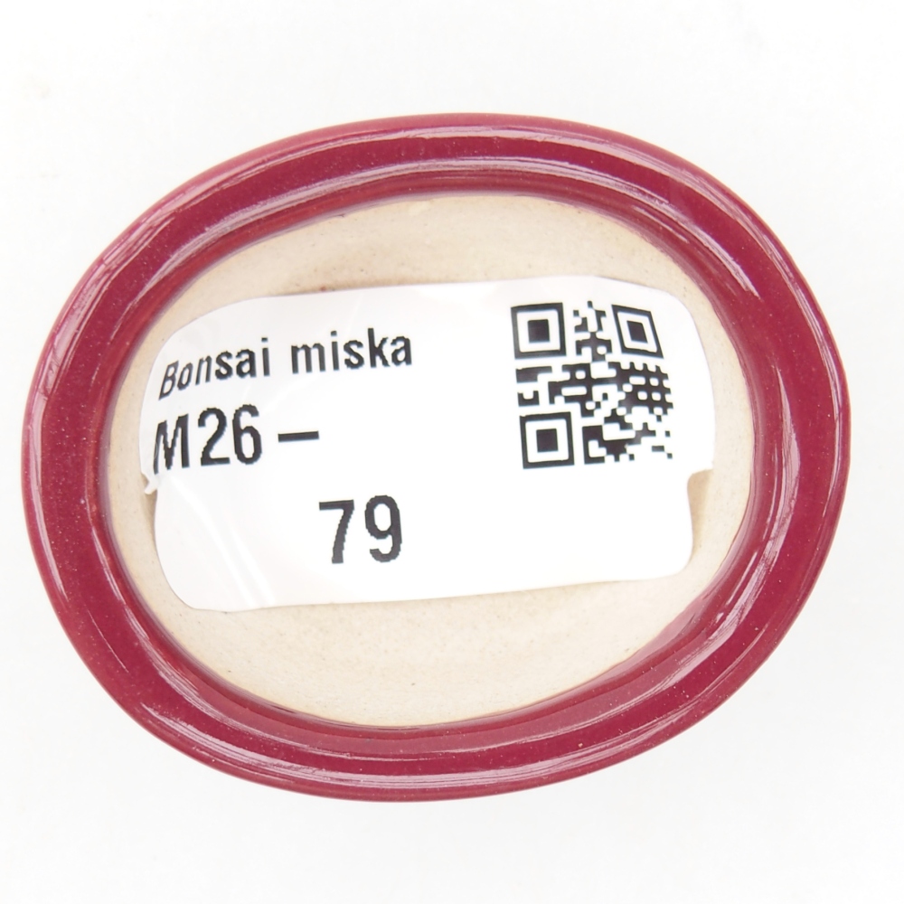 Mini bonsai miska 4,5 x 4 x 2 cm, barva vínová