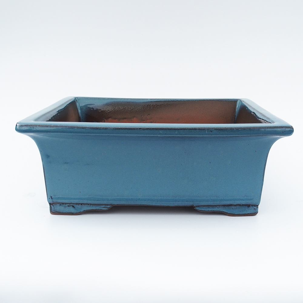 Miska 33,5 x 27,5 x 12,5 cm barva modrá