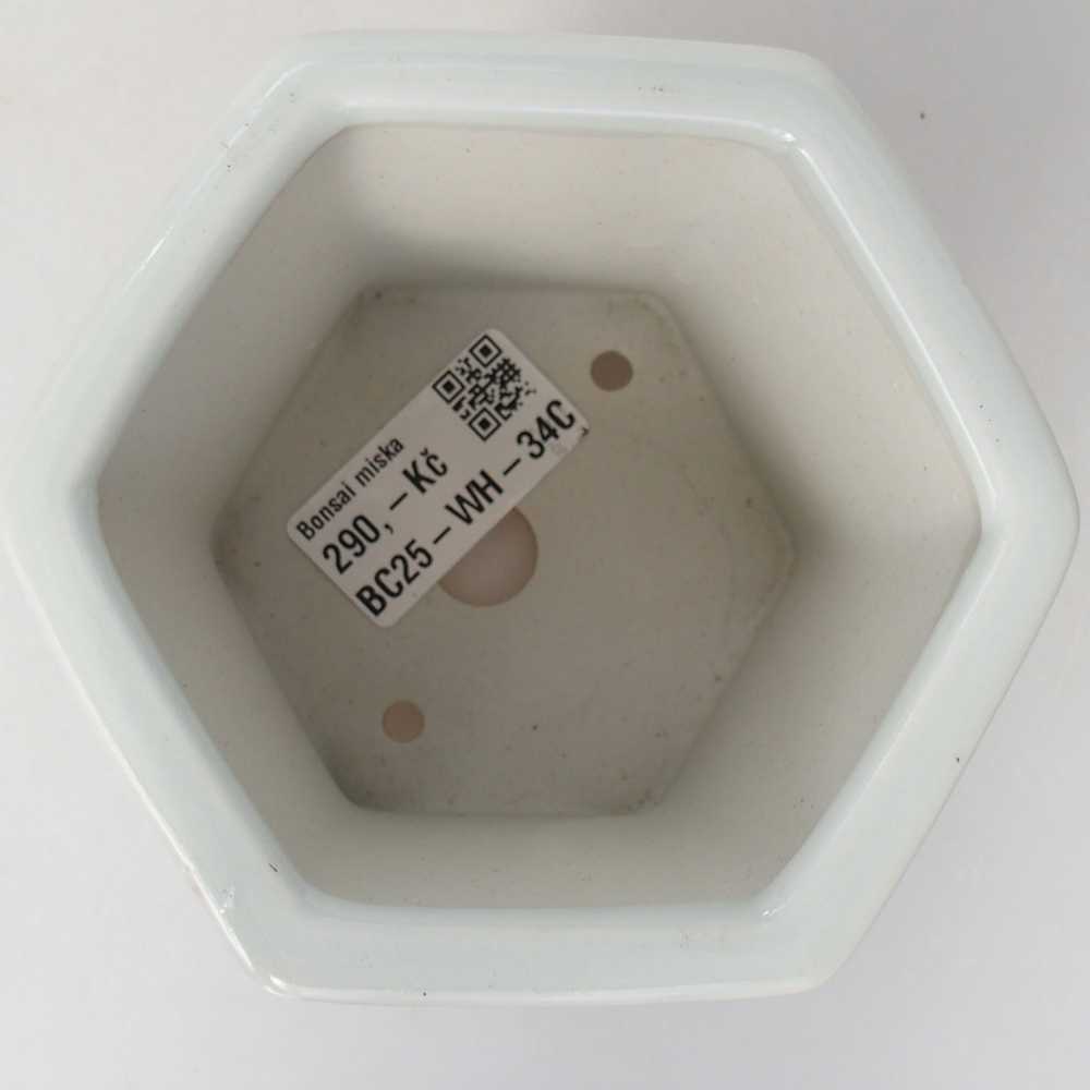 Keramická bonsai miska 10,5 x 9,5 x 9 cm, barva bílá