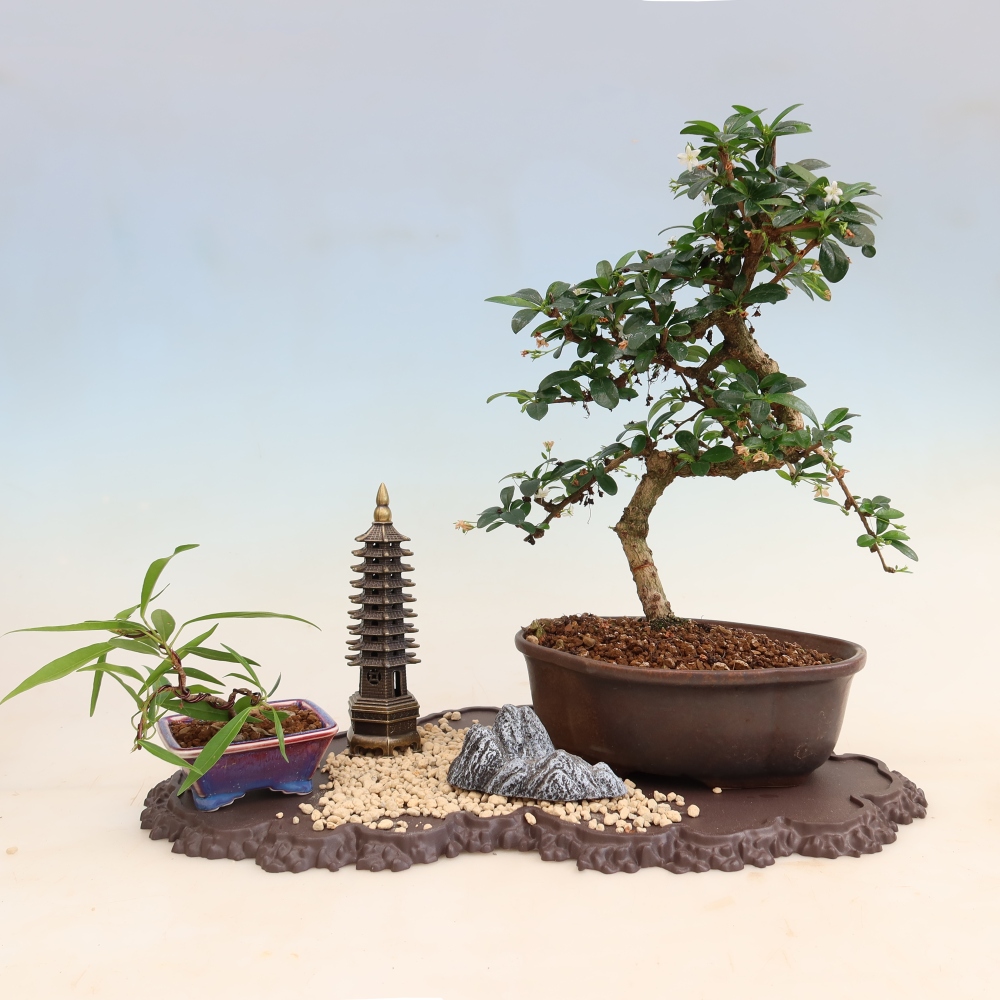 Plastový podstavec pod bonsai 43 x 25 x 1,5 cm, barva hnědá