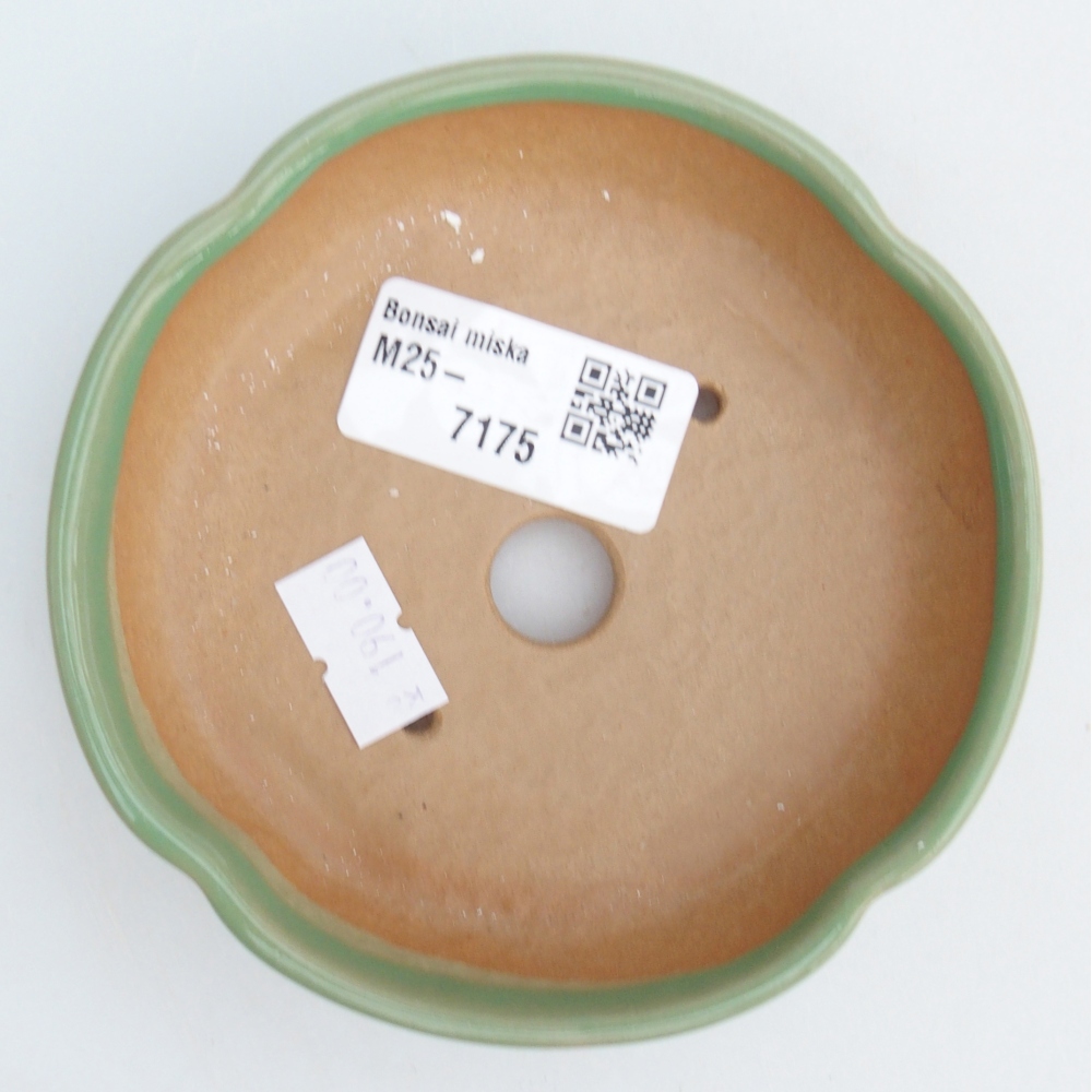 Keramická bonsai miska 11 x 11 x 3 cm, barva zelená