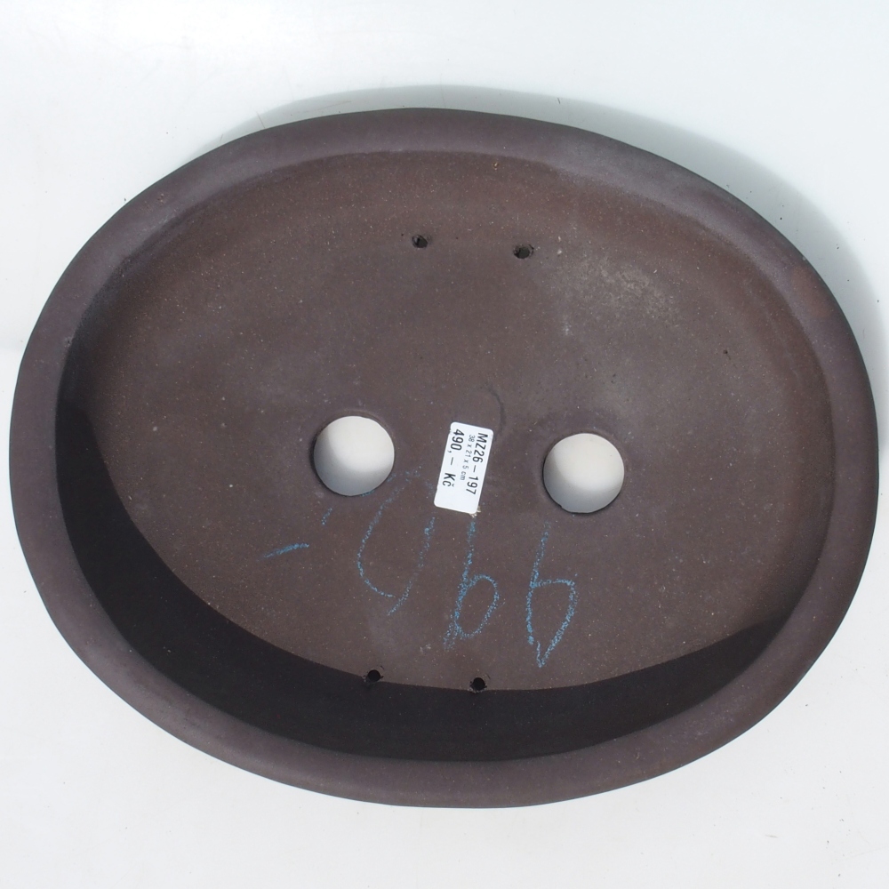 Bonsai miska 38 x 21 x 5 cm berva hnědá