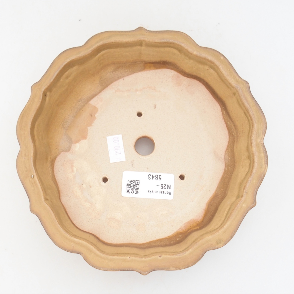 Keramická bonsai miska 18 x 18 x 5 cm, barva béžová