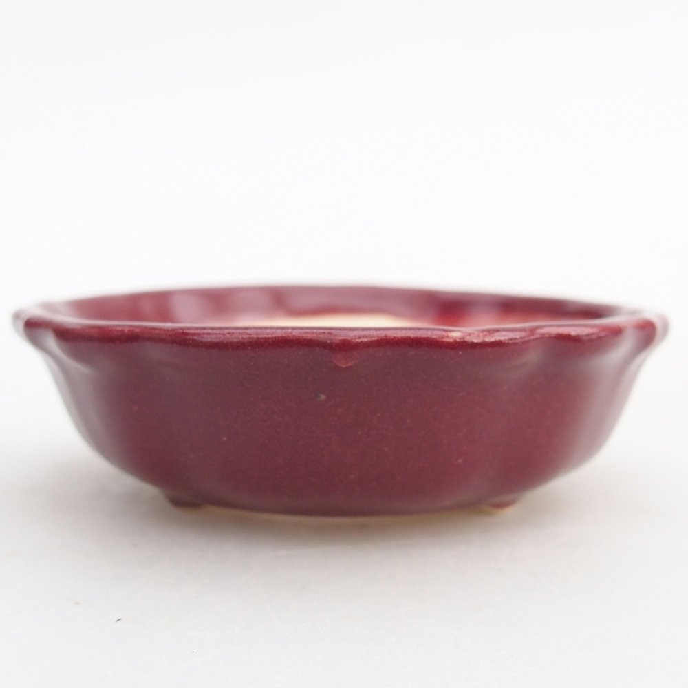 Mini bonsai miska 7,5 x 7,5 x 2,5 cm, barva vínová